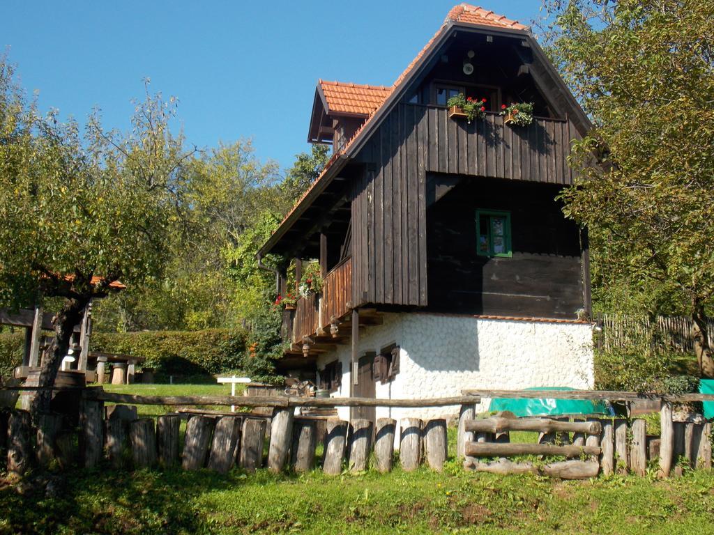 Apartmani Etno Kuca Pod Okicem Samobor Værelse billede